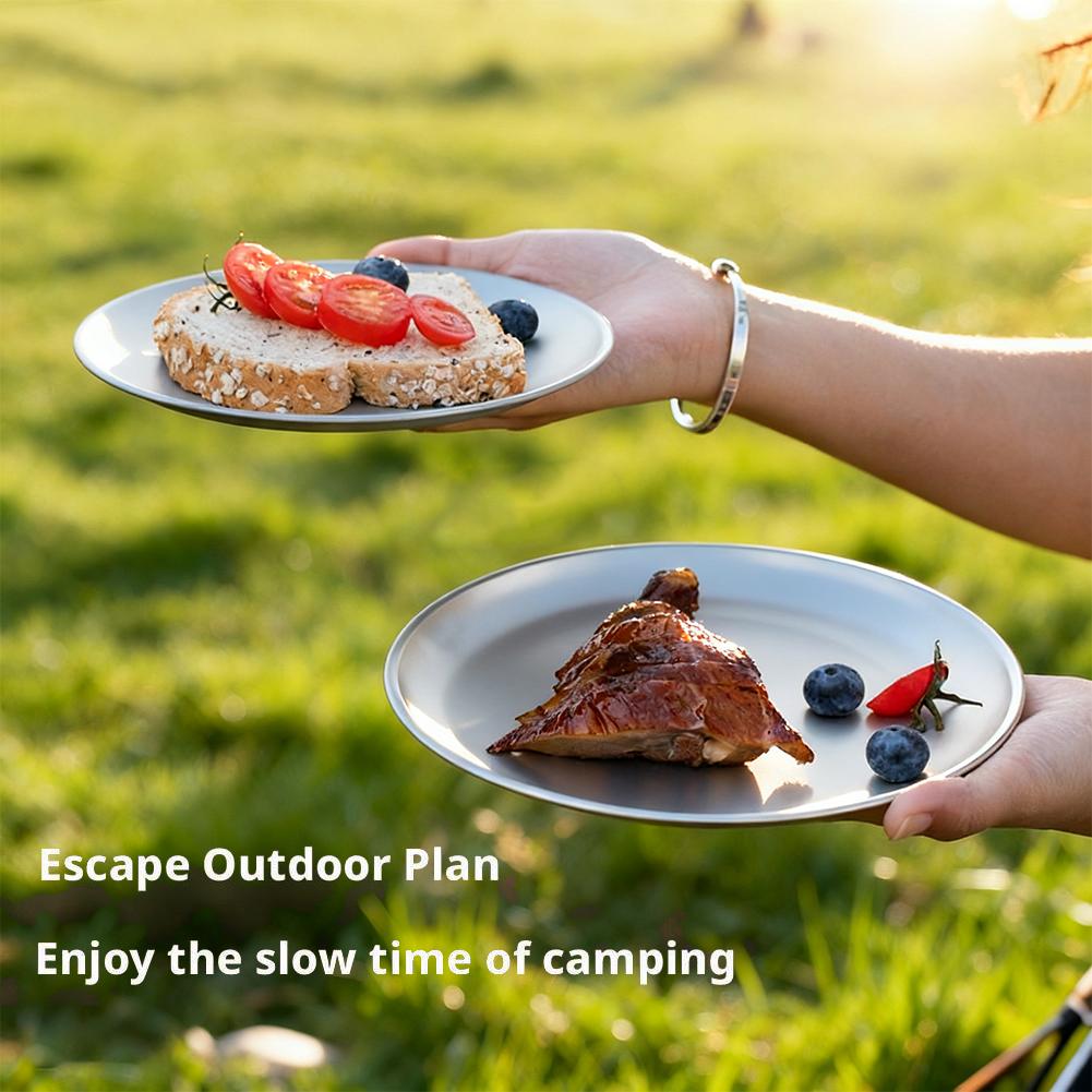1/2Pcs Titanium Outdoor Campin - مراجعة Camping Cooking Plate وسعره