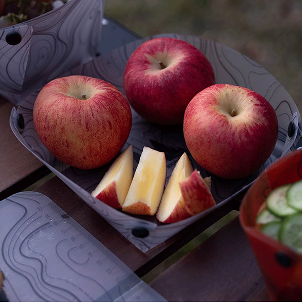 Outdoor Lightweight Folding Ta - مراجعة Camping Cooking Plate وسعره